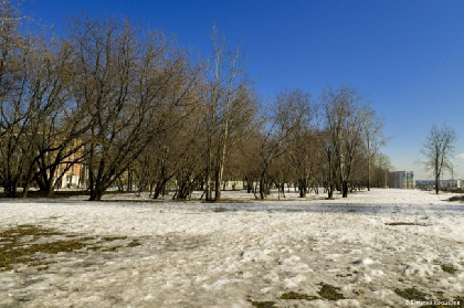 В сквере на улице Макаренко появится фонтан, скейт-парк и площадка для дрессировки собак