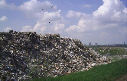 Прокуратура заставила птицефабрику убрать 140 тонн отходов с сельхозземель