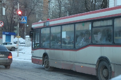 Автобусы Пермского края потеряли 10% пассажиров