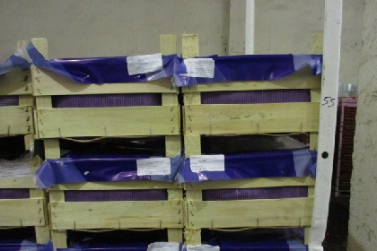 В Перми уничтожили 315 кг санкционных груш