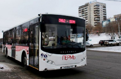 В Перми изменится расписание автобусных маршрутов