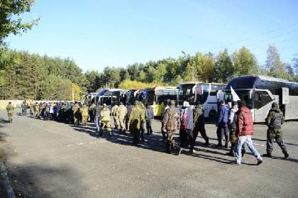 ОНФ в Прикамье помог студентам избежать мобилизации